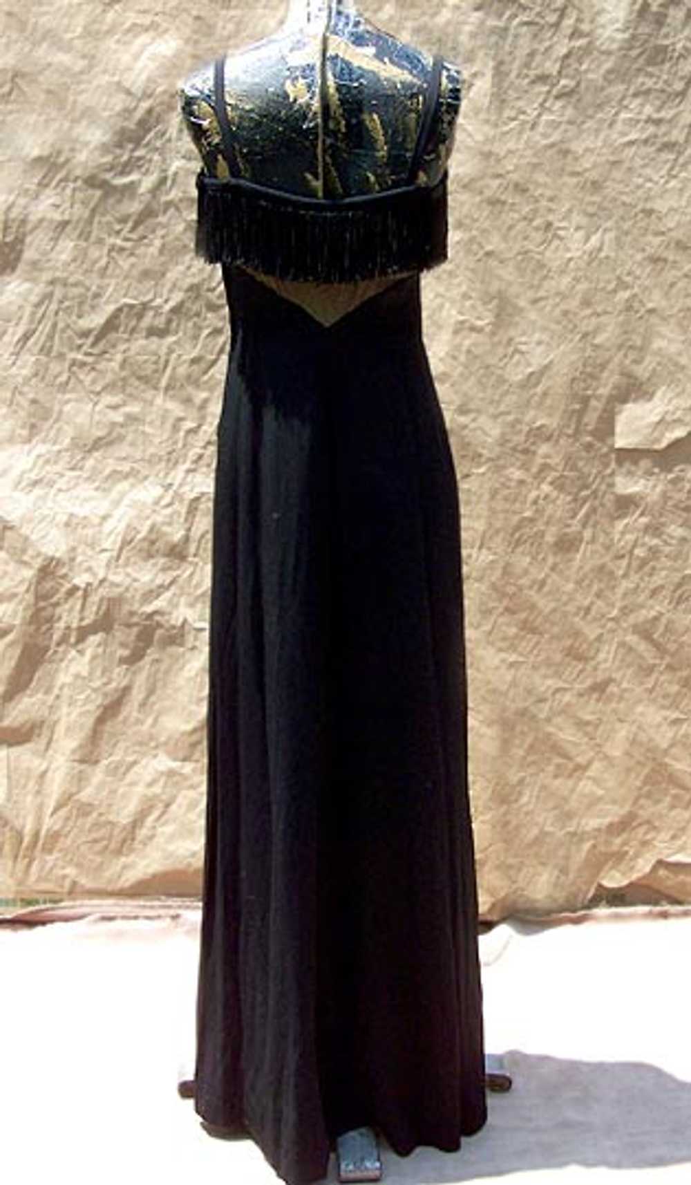 Fringe & net gown - image 4