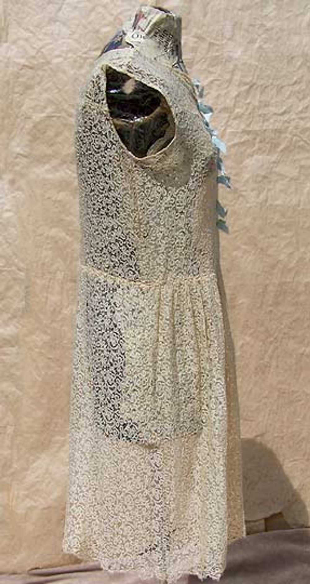 Gold lace flapper dress - image 4