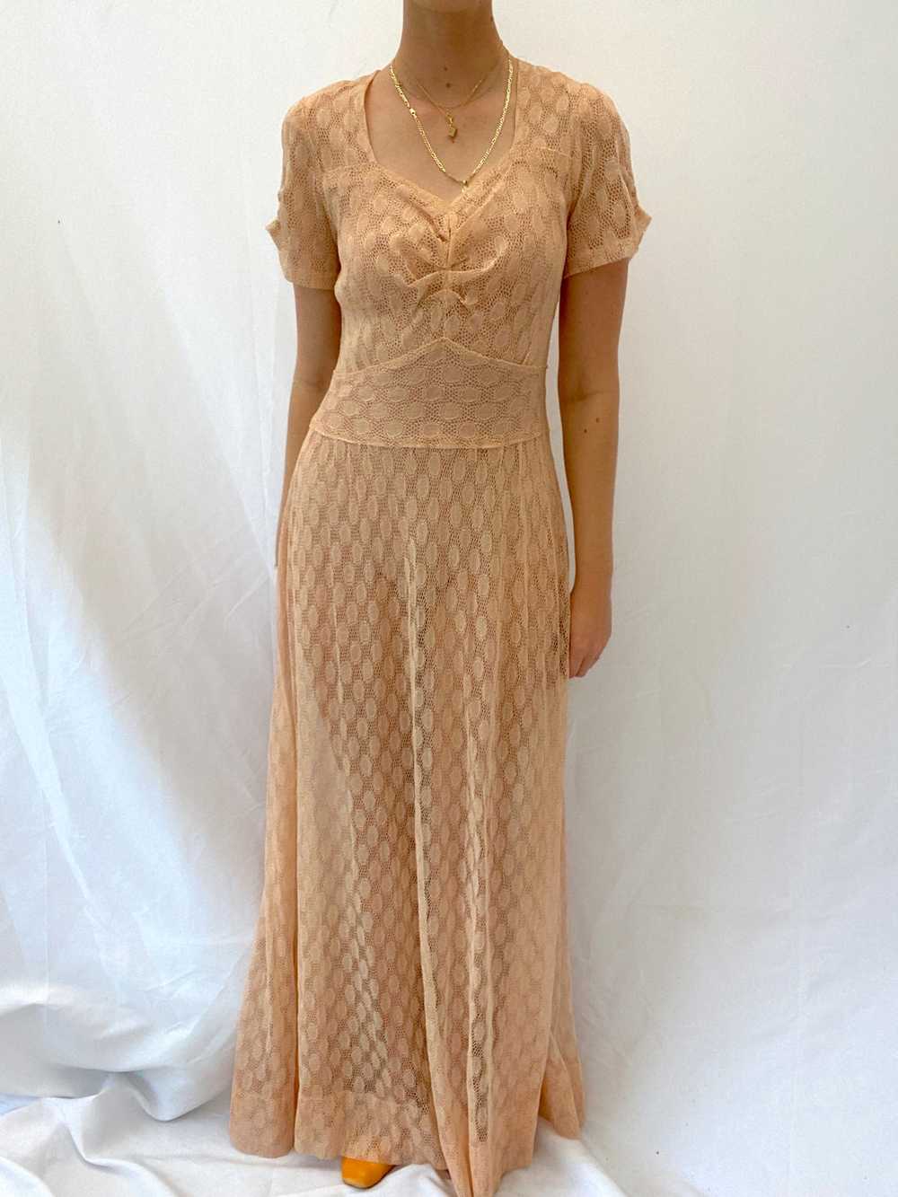 1940's Pink Polka Dot Net Gown with Sweetheart Ne… - image 2