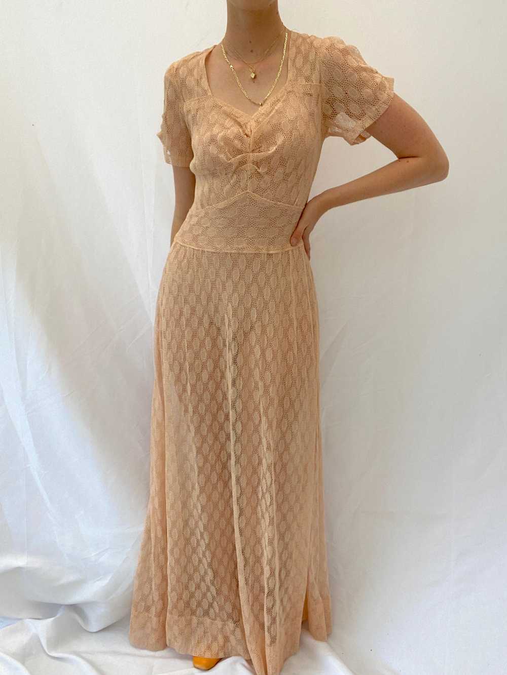 1940's Pink Polka Dot Net Gown with Sweetheart Ne… - image 6