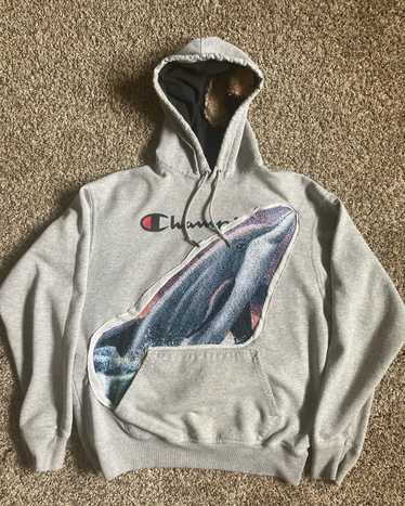 Other Champion Dolphin Hoodie🐬 - image 1