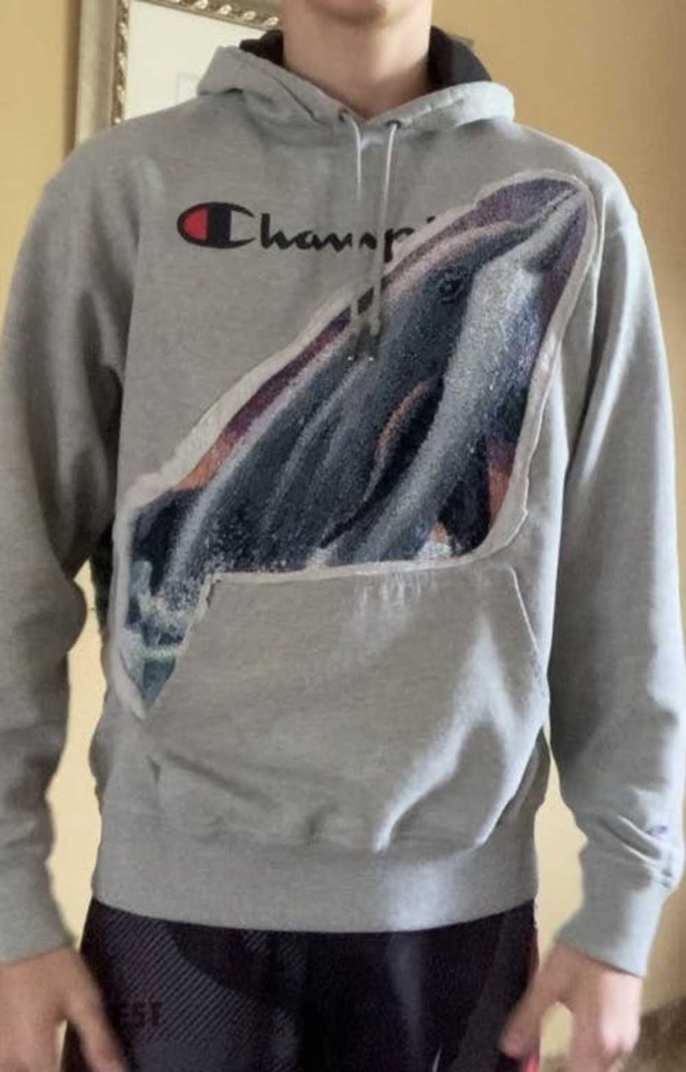 Other Champion Dolphin Hoodie🐬 - image 3