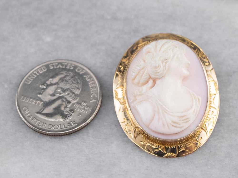 Vintage Pink Shell Cameo Brooch - image 10