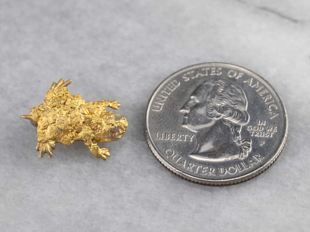 Gold Nugget Frog Pin - image 10