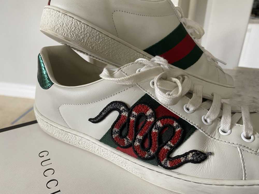 Gucci Ace Snake Sneakers - image 10