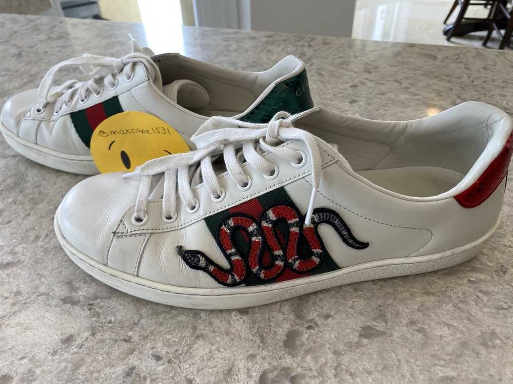 Gucci Ace Snake Sneakers - image 1