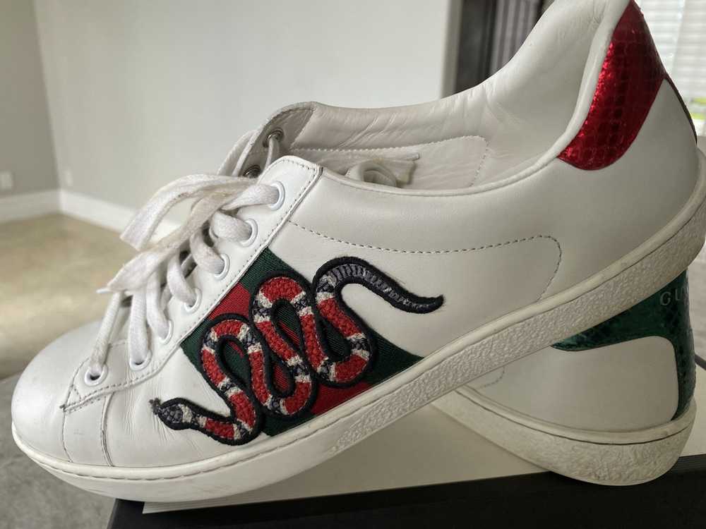 Gucci Ace Snake Sneakers - image 6