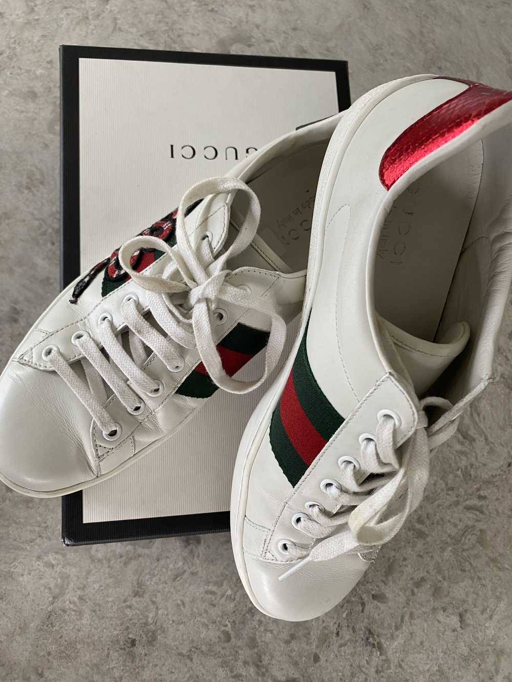 Gucci Ace Snake Sneakers - image 7