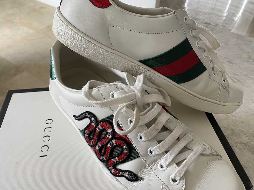 Gucci Ace Snake Sneakers - image 9