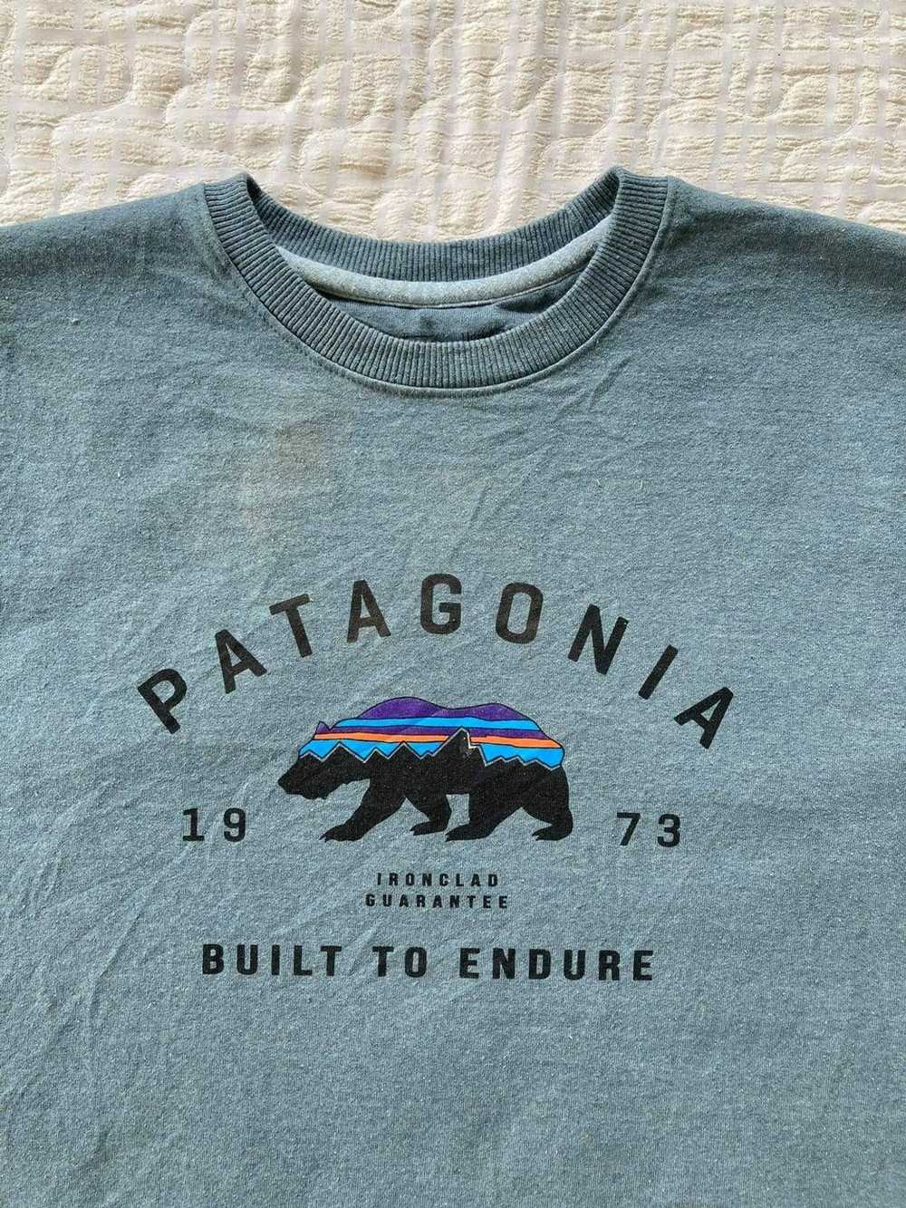 Patagonia × Streetwear AUTHENTIC BIG LOGO PATAGON… - image 2