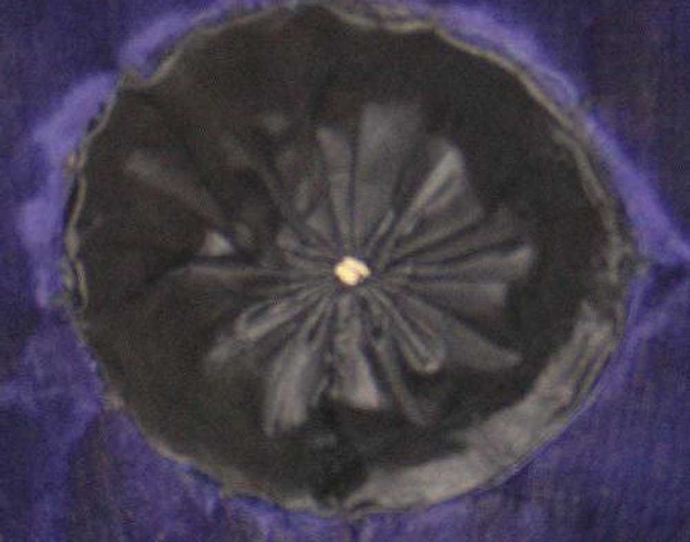 Deep Purple Velvet Antique Victorian Hat with Ost… - image 7