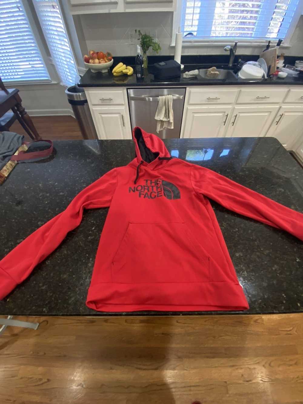 The North Face North Face Hoodie - image 1