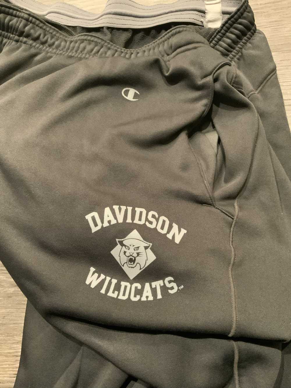 Champion × Ncaa Champion Double Dry Davidson Wild… - image 6