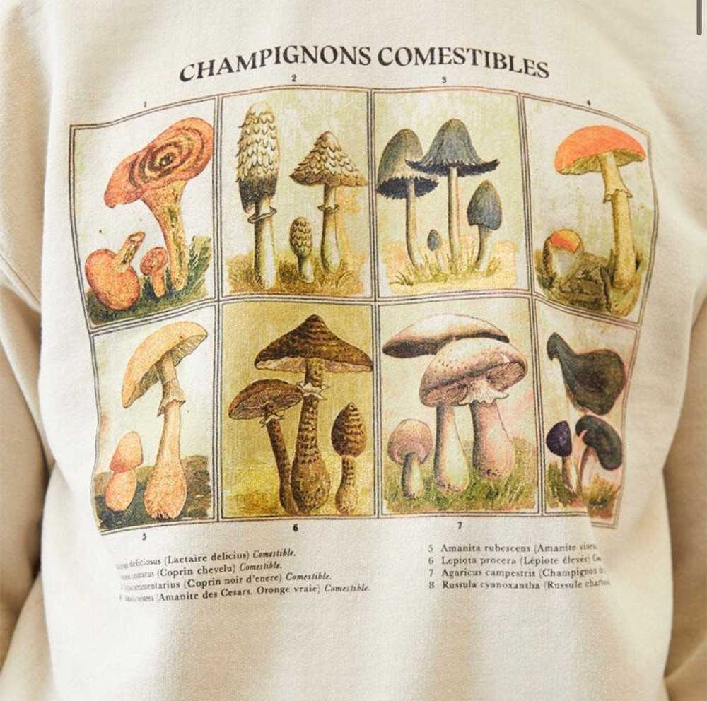 Pacsun PacSun Champignons Crew Neck Sweatshirt - image 2