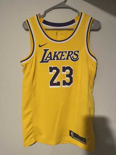 NBA LA Lakers Lebron James #23 Purple - gold font Jersey (ready stock, ship  tomorrow!), Men's Fashion, Activewear on Carousell