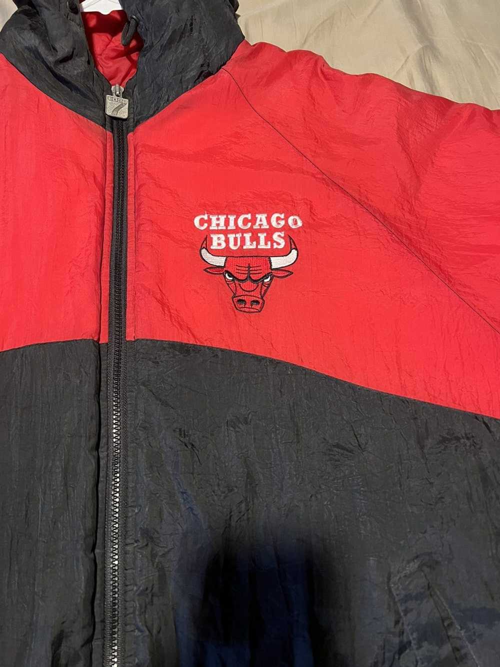 Chicago Bulls × Logo 7 × NBA vintage Chicago bull… - image 4