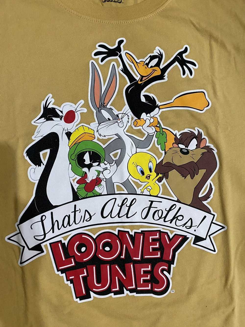 Vintage Looney Tunes “That’s all folks” - image 1