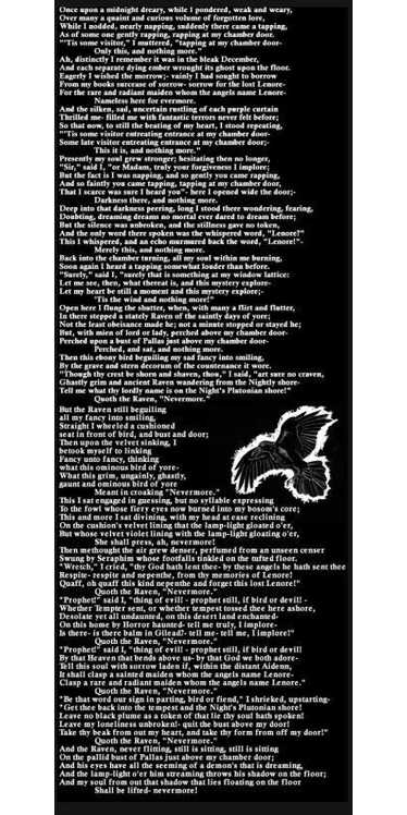 Edgar Allen Poe Raven Story Black w White Writing 