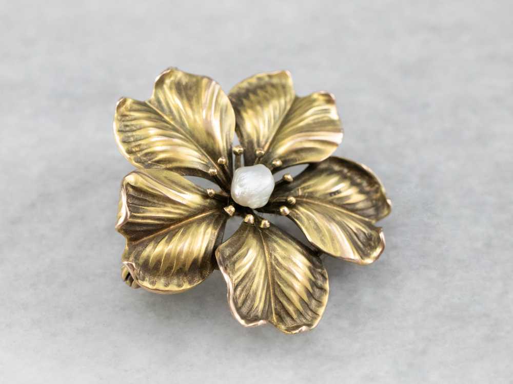 Antique Baroque Pearl Flower Pin or Pendant - image 3