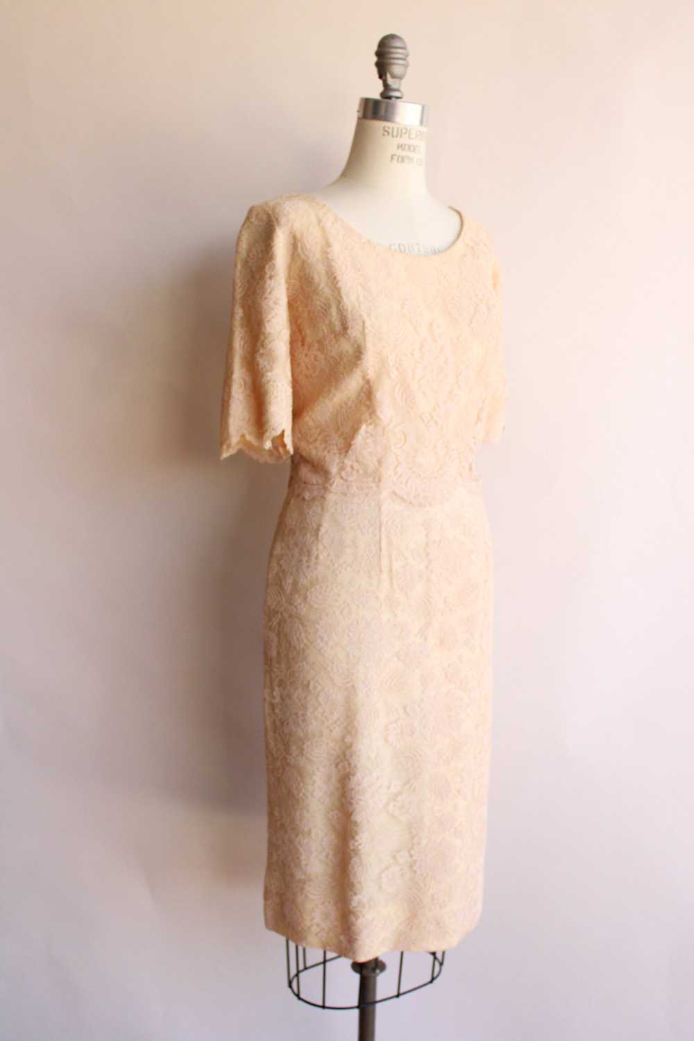 Vintage 1960s Blush Illusion Lace Dress - image 5