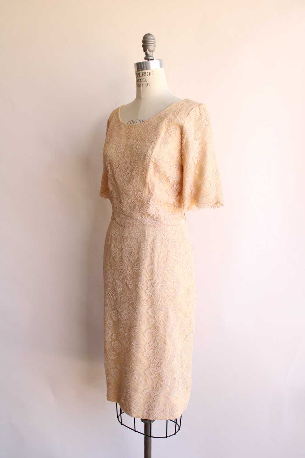 Vintage 1960s Blush Illusion Lace Dress - image 8