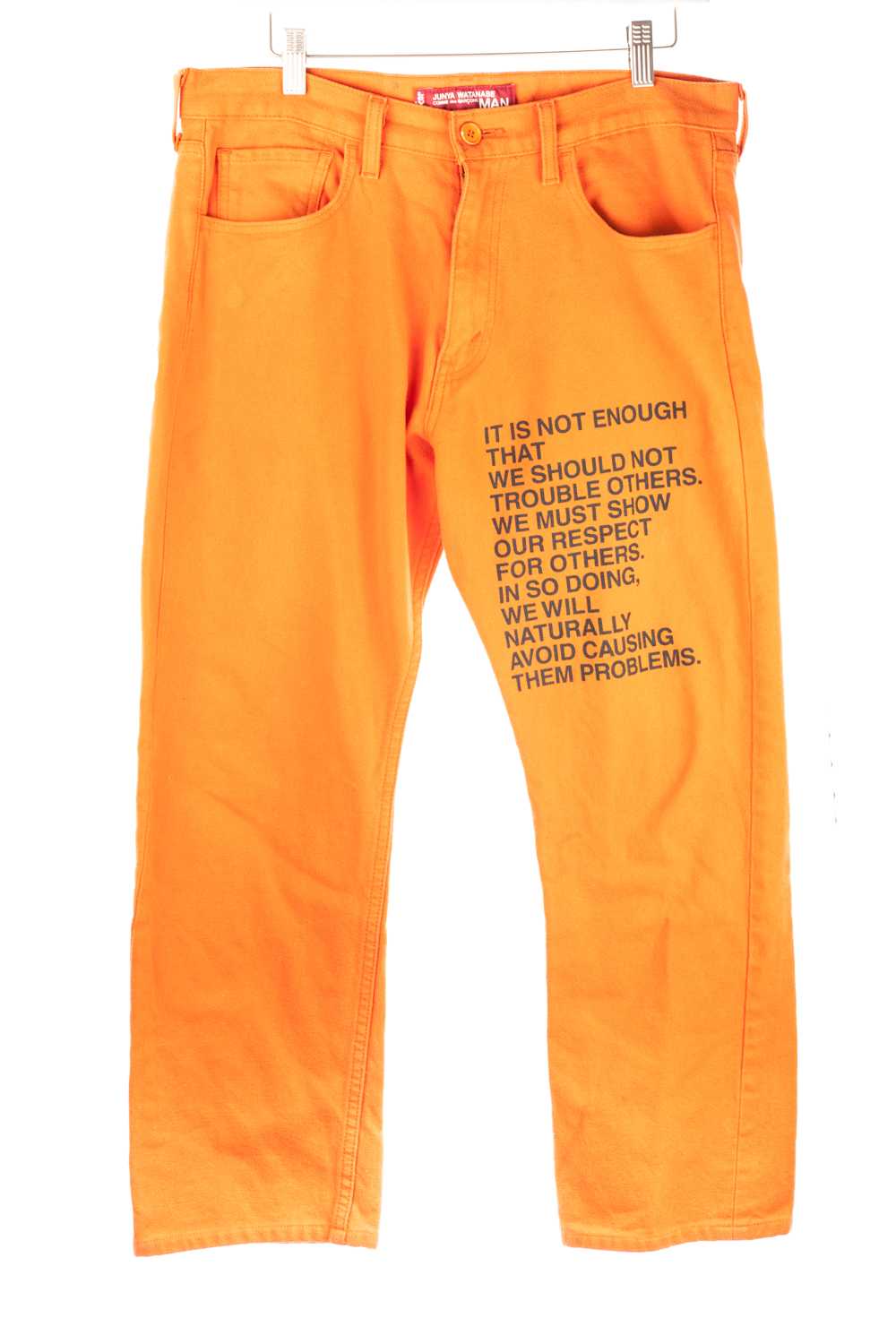 Orange Poetry Pants - image 1