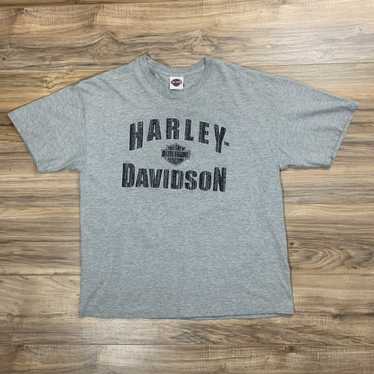 Hanes × Harley Davidson × Streetwear Textured Logo