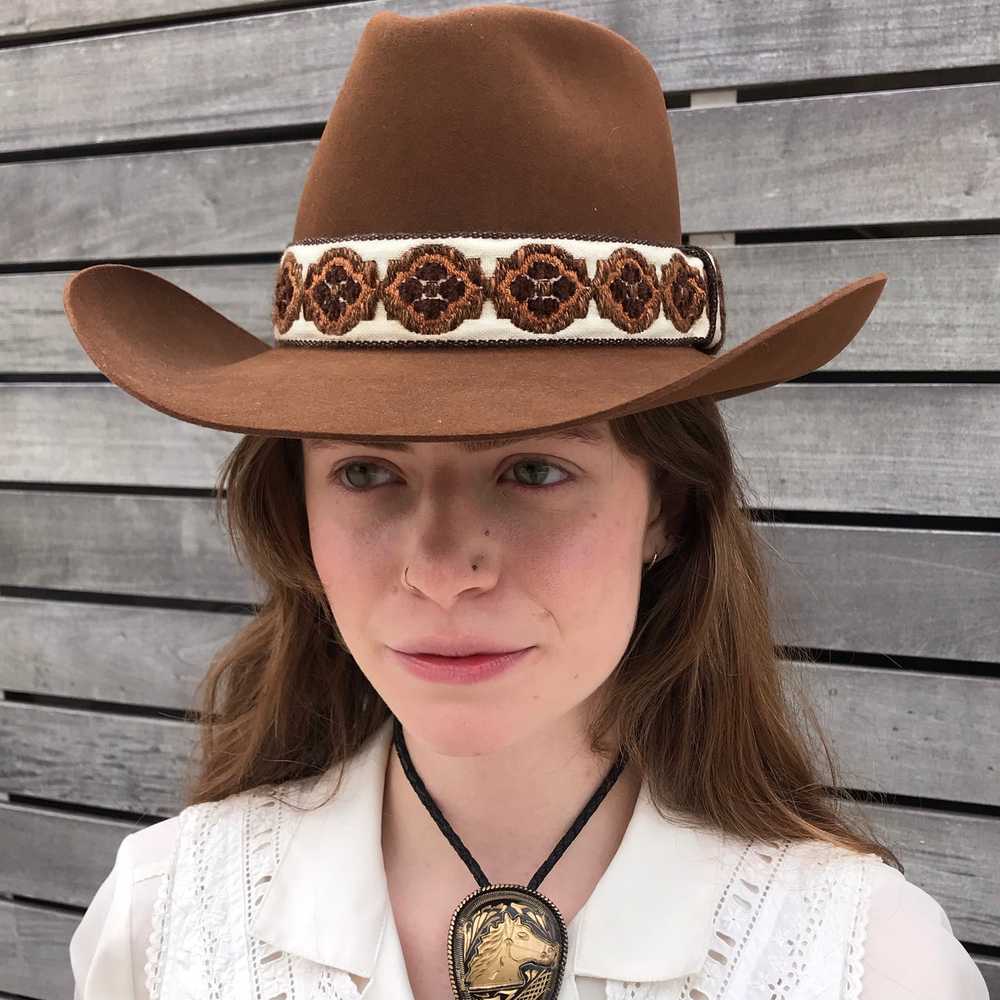 Resistol Brown Cowboy Hat - image 2