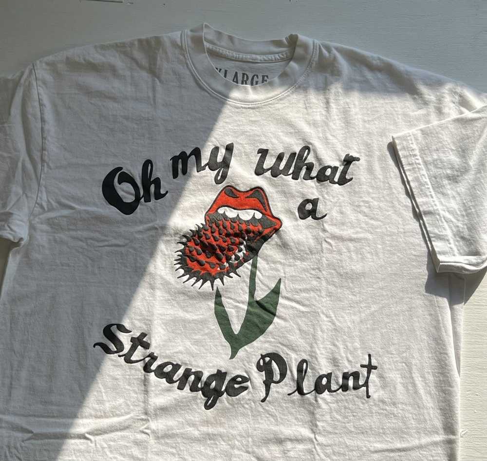 Cactus Plant Flea Market × The Rolling Stones Cac… - image 2