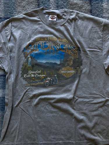 Harley Davidson sturgis harley tee