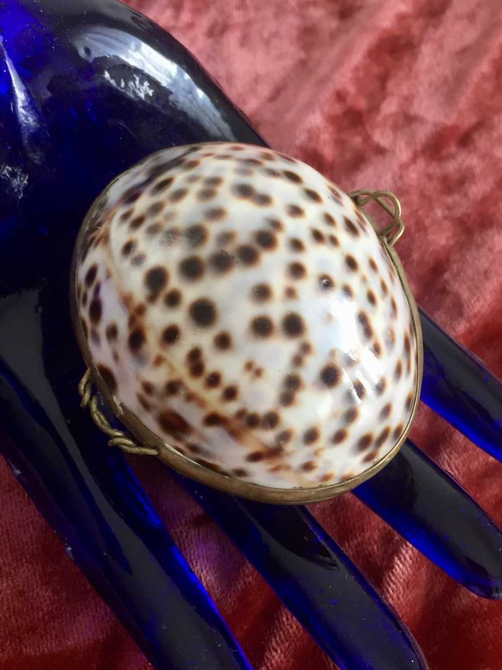 Antique Victorian Shell Coin Purse - image 3