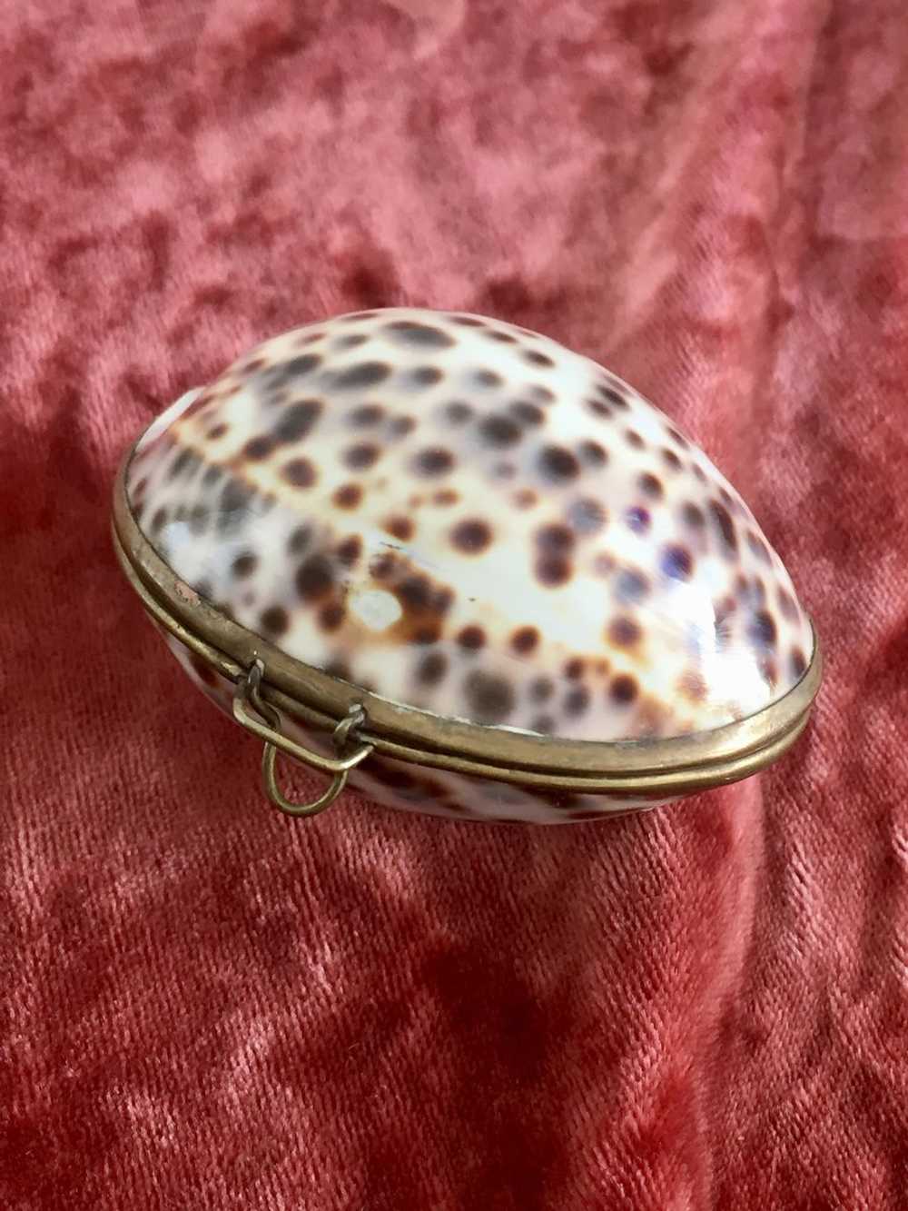 Antique Victorian Shell Coin Purse - image 5