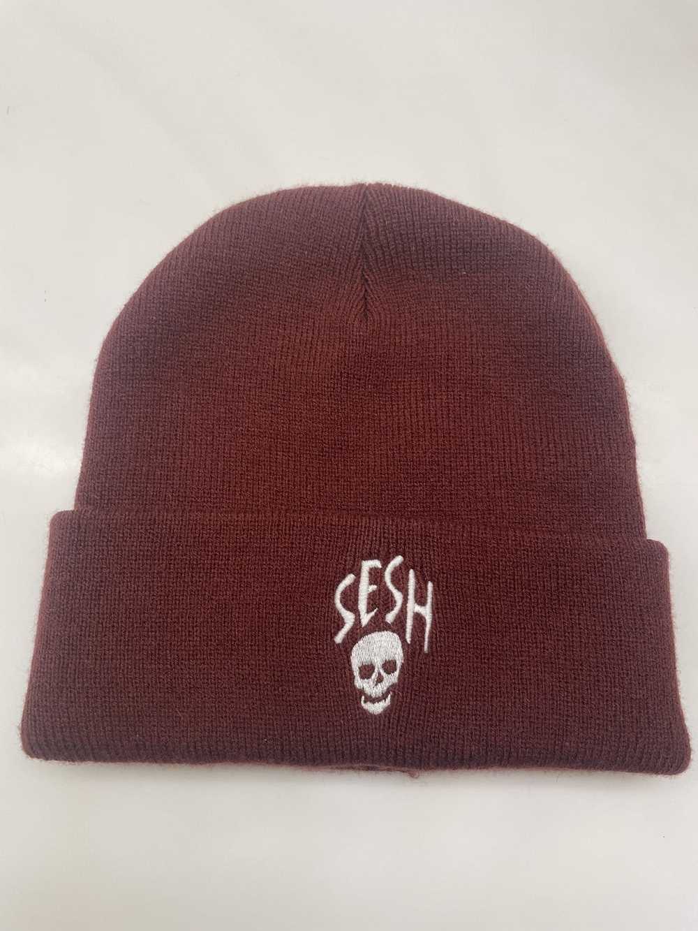 Team Sesh × Teamsesh Teamsesh maroon beanie - image 1