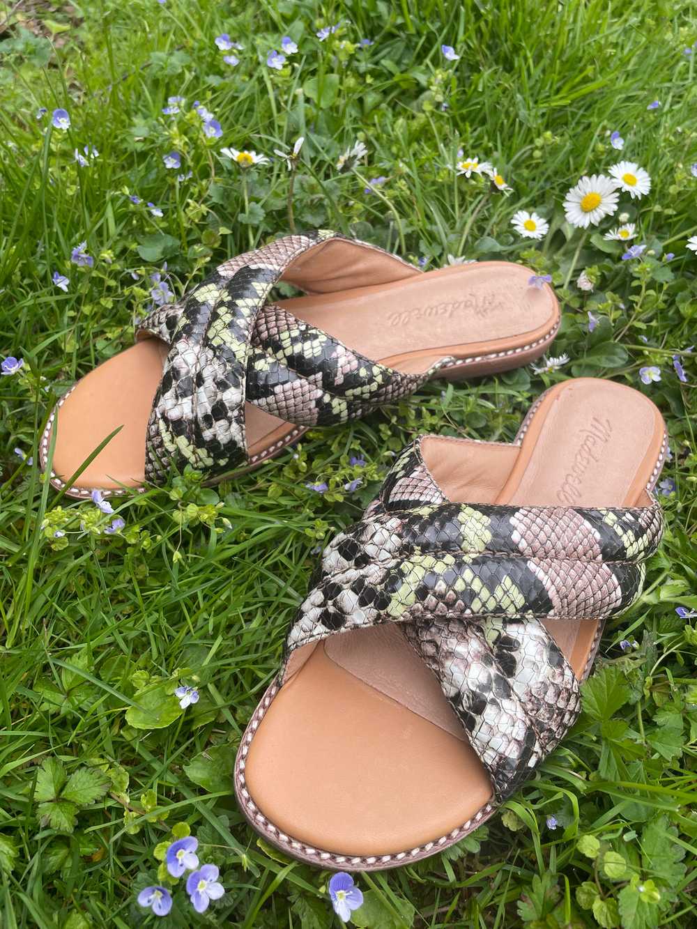 NEW Madewell snakeskin sandals, Size 6 - image 1