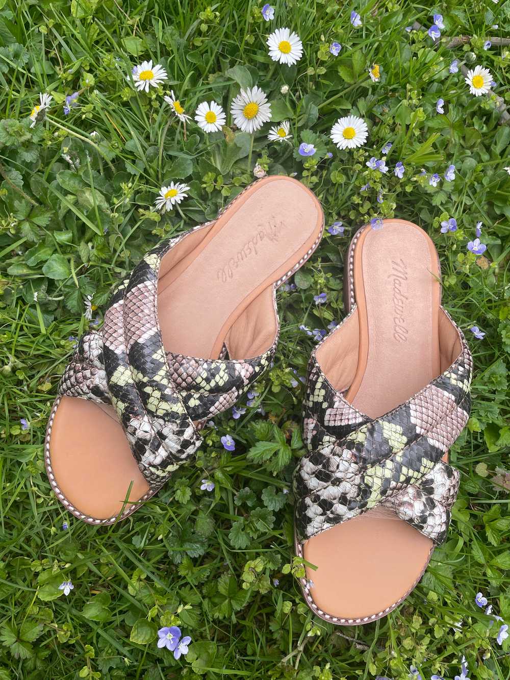 NEW Madewell snakeskin sandals, Size 6 - image 3