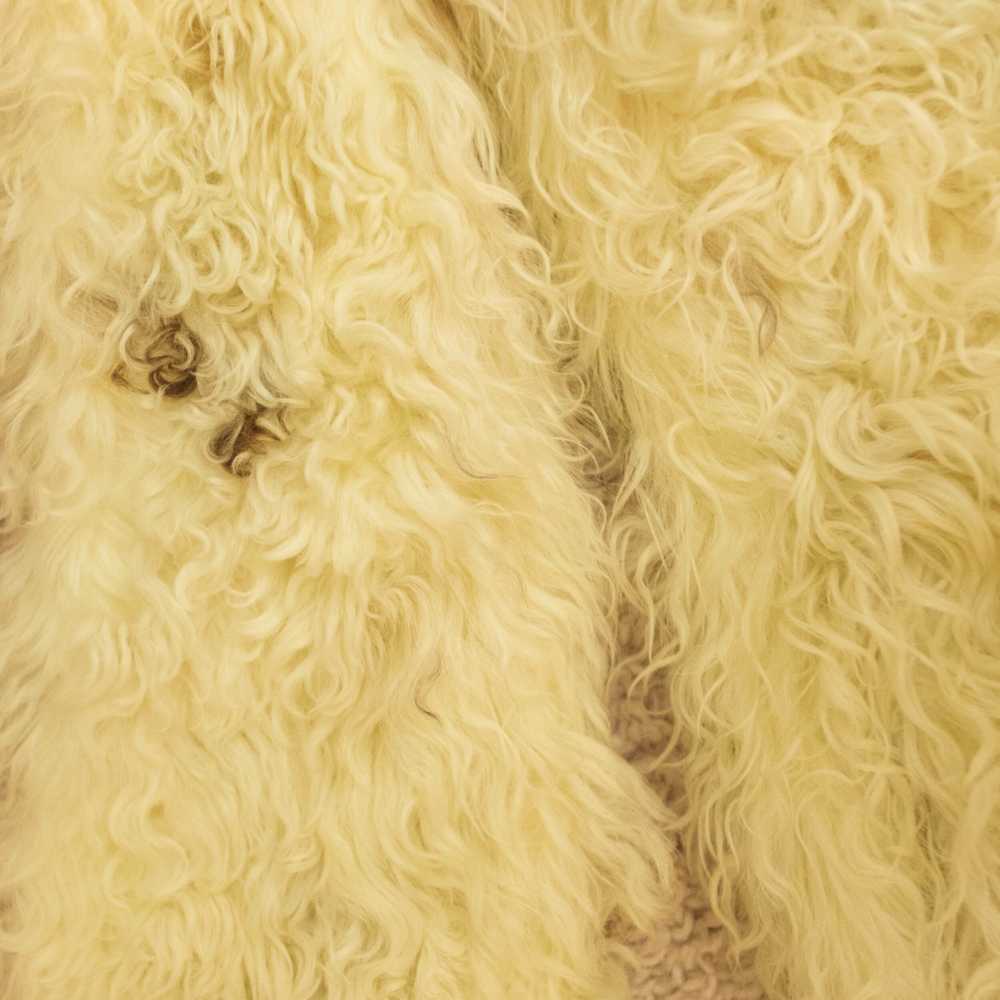 1970s Revillon Boutique Mongolian lamb coat - image 5