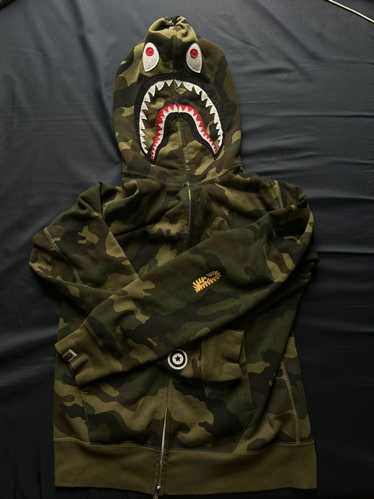 Shark Mouth Hoodie Norway, SAVE 48% 