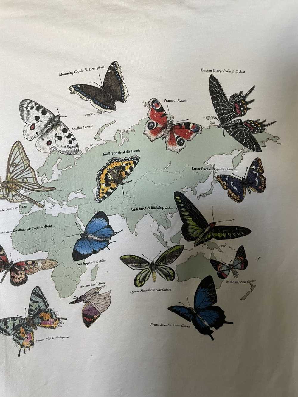 Vintage Butterfly World T-Shirt - image 3