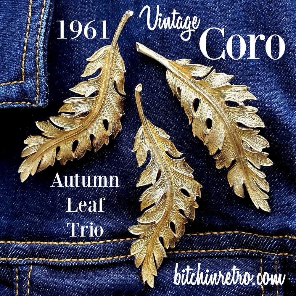 Coro 1961 Autumn Leaf Brooch Collection - Set of … - image 1