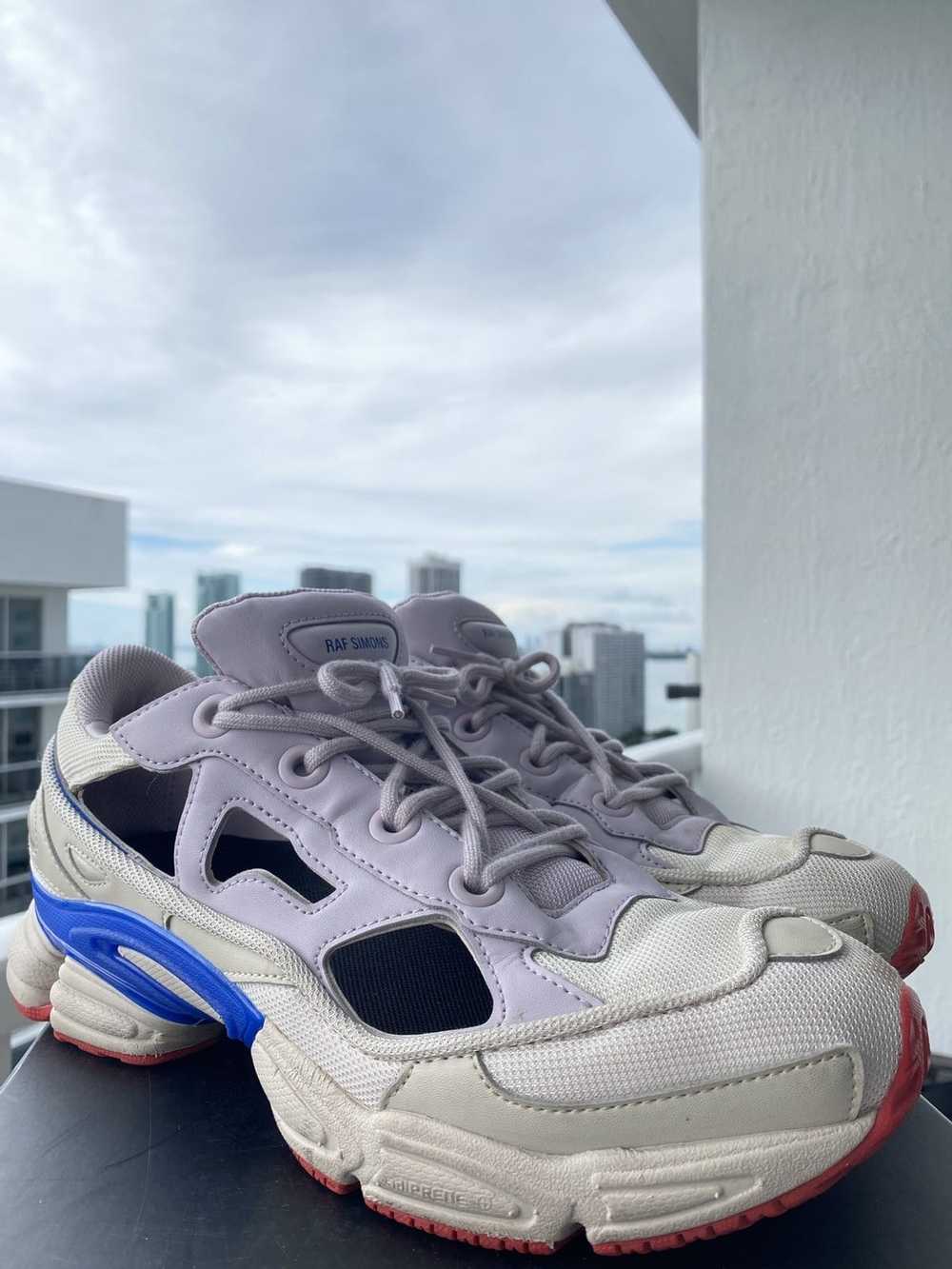 Raf Simons Raf Simons x Ozweego Replicant USA - image 1