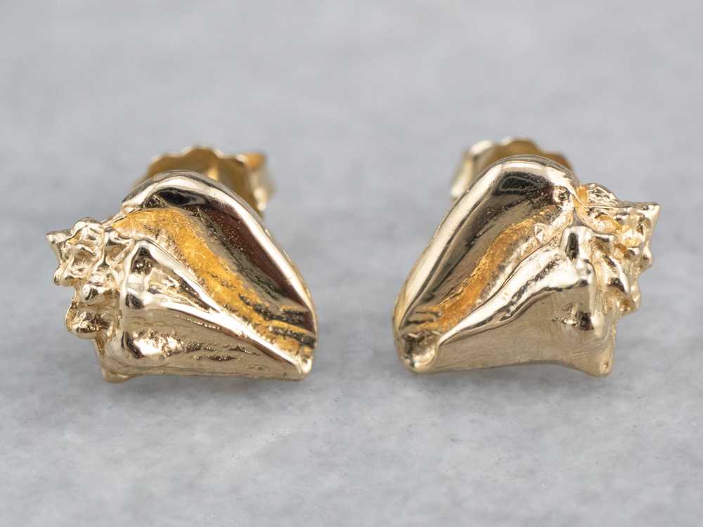 Golden Conch Shell Stud Earrings - image 1