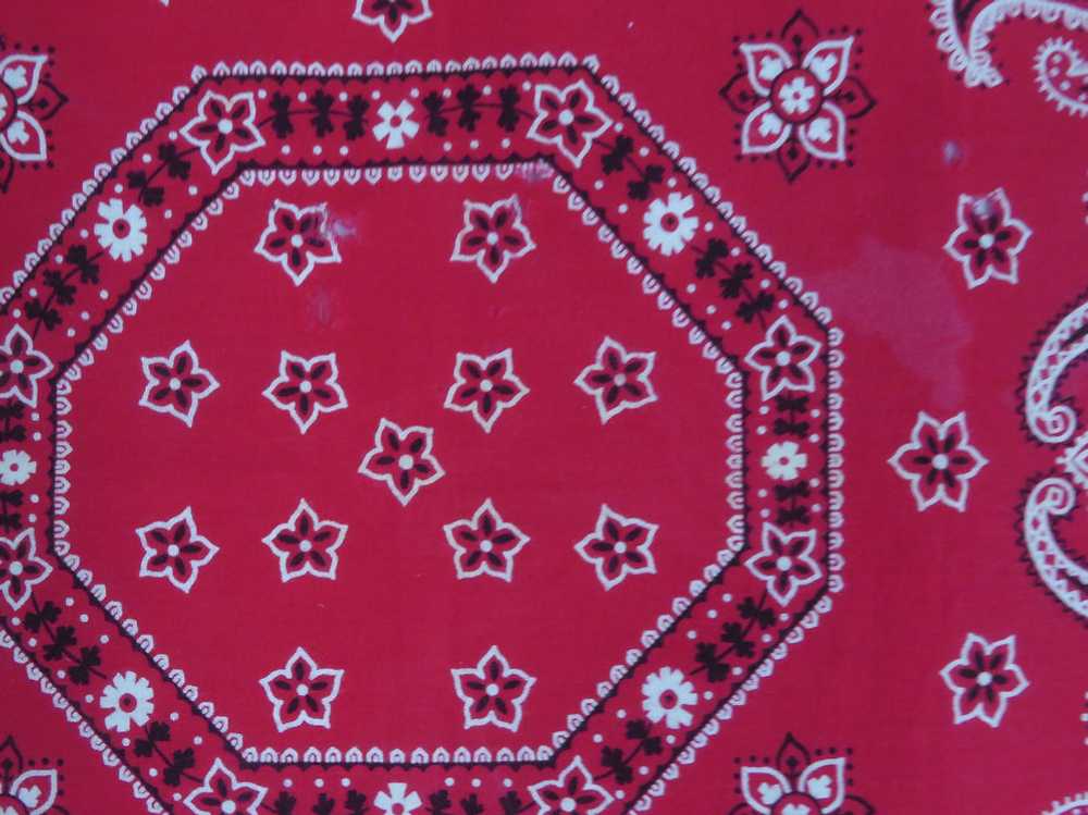 Vintage Red Paisley Bandana Elephant Brand #174 - image 2