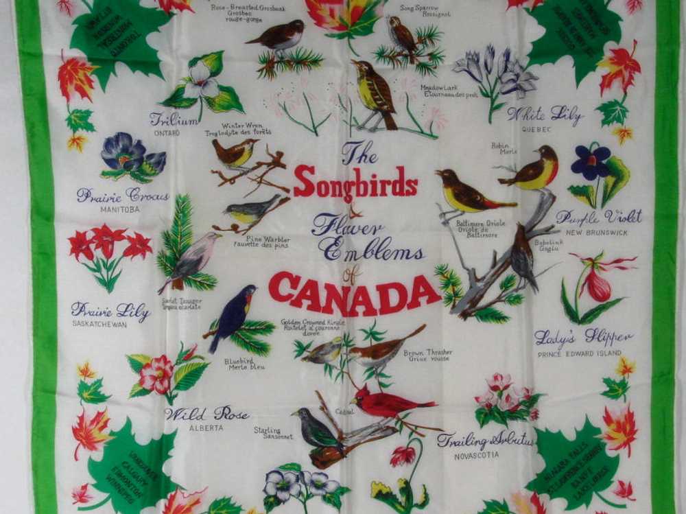 Vintage Canada Flowers Songbirds Travel Souvenir … - image 2
