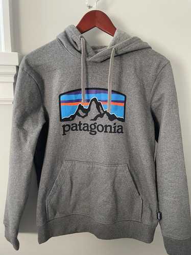 Patagonia Patagonia Grey Hoodie