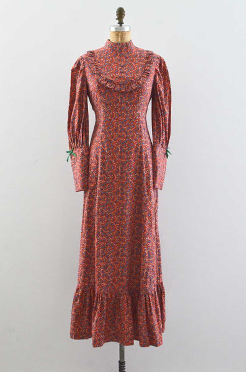 Long Prairie Dress - image 1