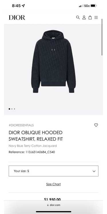 Dior Dior oblique jacquard hooded sweatshirt
