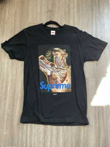 Supreme × Undercover Supreme x Undercover Anatomy 