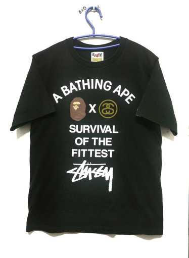 Bape x stussy survival of shop the fittest