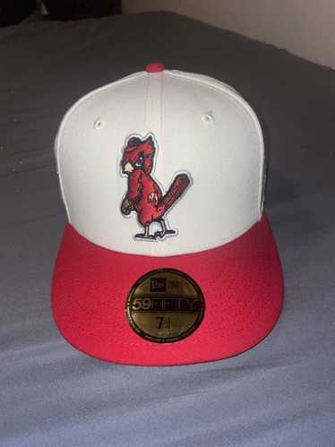Springfield (St Louis) Cardinals Purse Crossbody MiLB MLB SGA