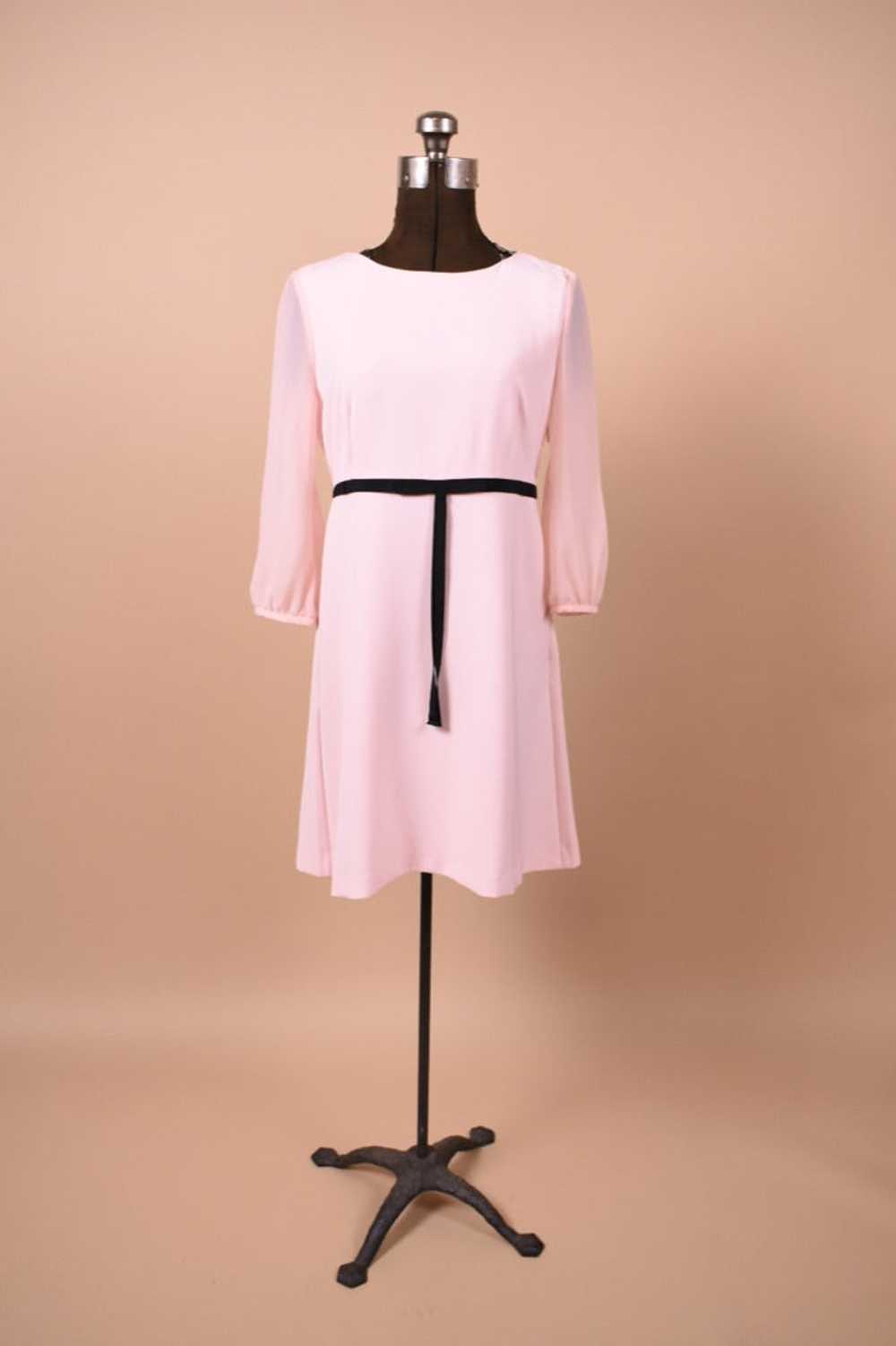 Pink NWT Babydoll Dress with Sheer Sleeves By Ted… - image 9